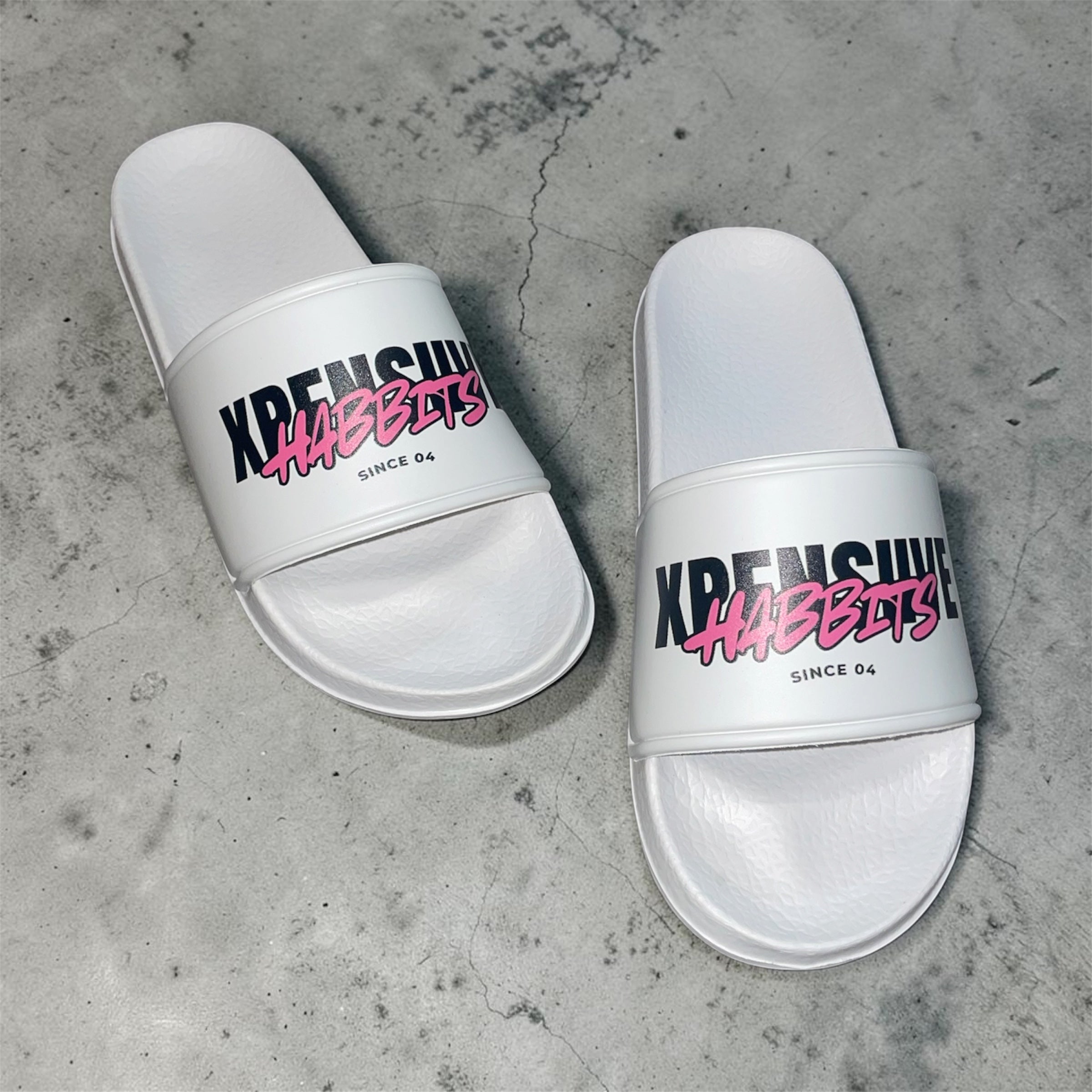 Xpensiive Habbits house slides