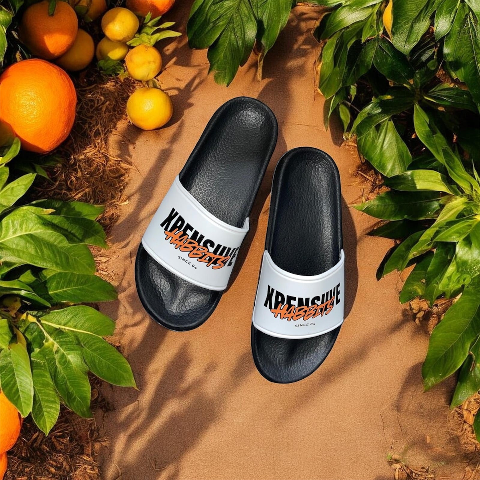 Xpensiive habbits signature house slide