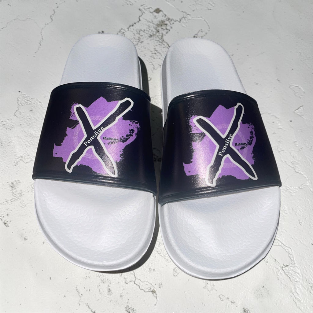 Xpensiive Habbits house slides