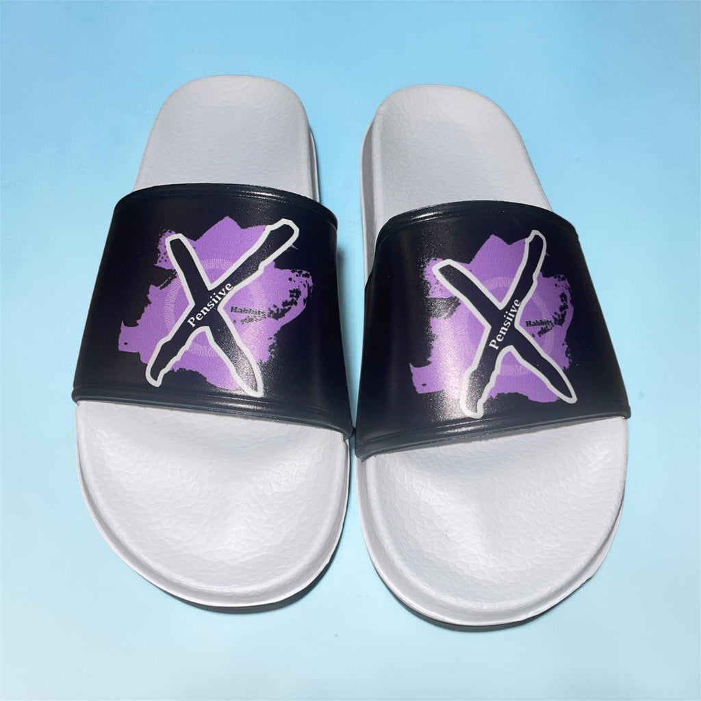 Xpensiive Habbits house slides